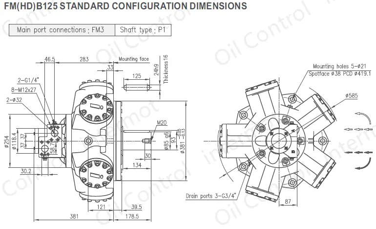 تصویر ابعاد و پیکربندی هیدروموتور مدل FMB125